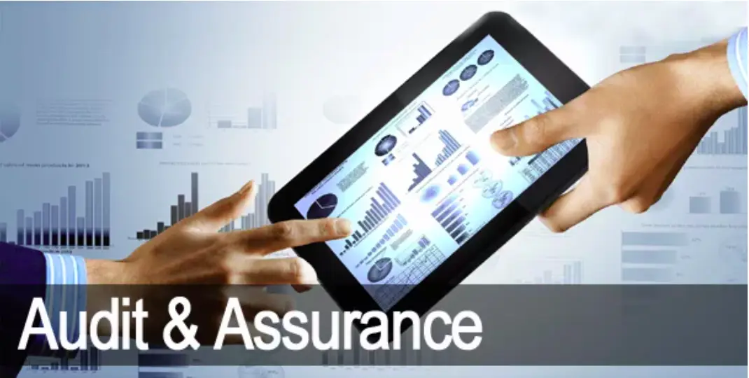 Audit and assurance services provided by PAAP International Ltd.